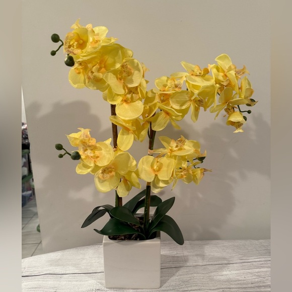 Yellow Orchid Arrangement in White Planter - Picture 2 of 9
